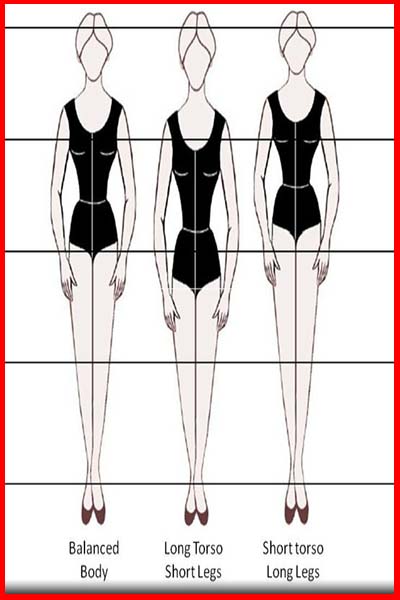 Vertical body shape types - balanced- long torso- short torso