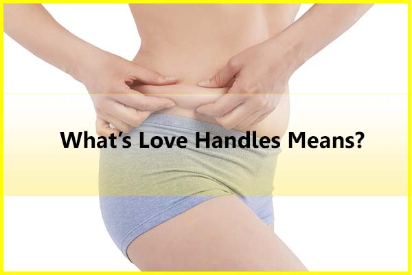 What is love handles means